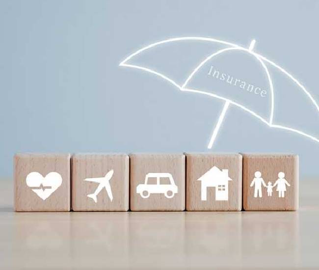 Safe Hands Cover Insurance Team